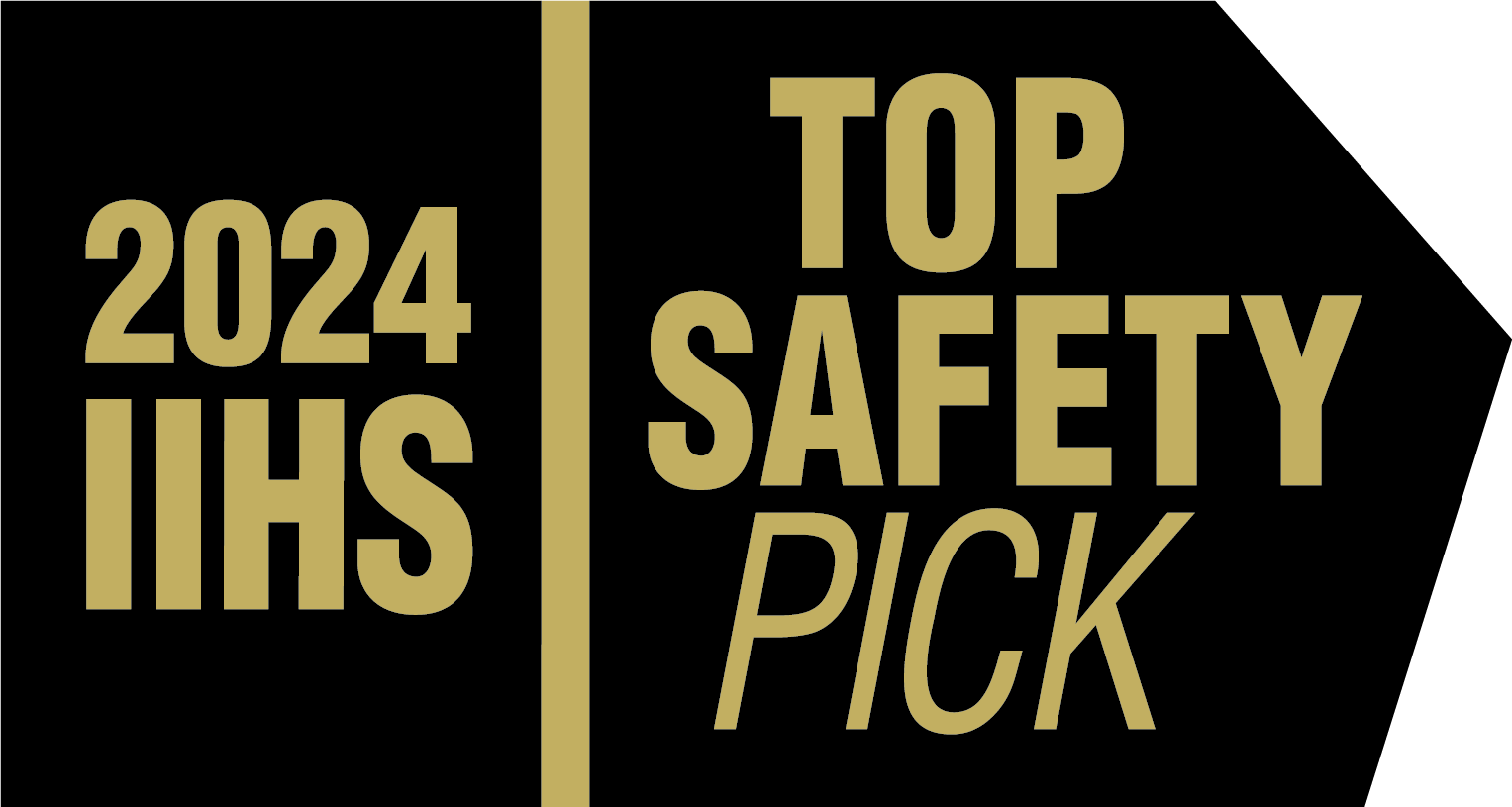 TOP SAFETY PICK logo